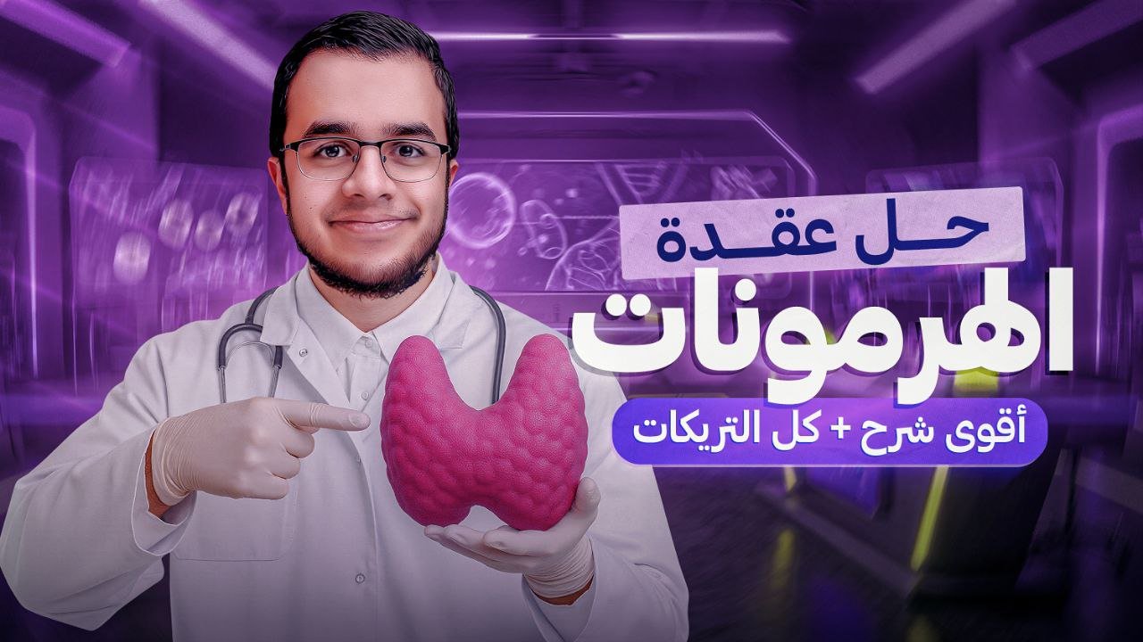 IMG_20251120_170151_913